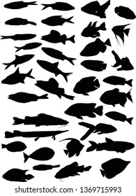 ilustración con conjunto de siluetas de peces aisladas en fondo blanco