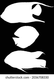 illustration with set of fish silhouettes isolated on black background