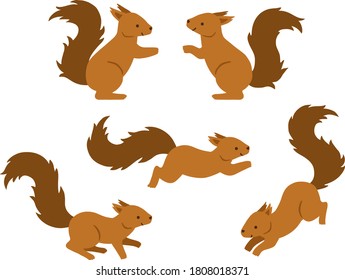 Illustration set of five squirrels in various poses