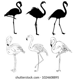 illustration with a set of flamingos silhouettes isolated on white background