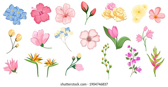 illustration of Set of floral branch with flower and green leaves for wedding bouquets, cards, designs. Floral arrangements for poster,  greeting card or invitation design