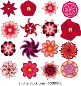illustration with set with flowers