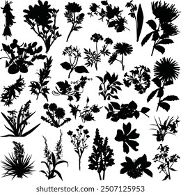 illustration with set of flowers silhouettes isolated on white background