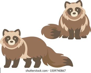 Illustration set of fluffy raccoon dogs