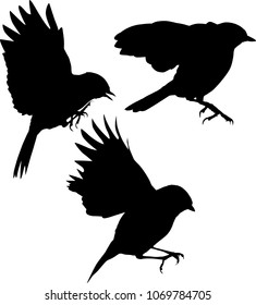 illustration with set of flying birds silhouettes isolated on white background