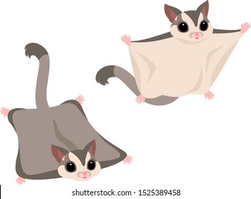 Illustration Set Of Flying Sugar Gliders (gray)