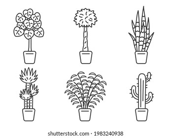Conjunto de ilustraciones de plantas folclóricas.