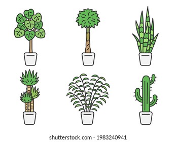 Conjunto de ilustraciones de plantas folclóricas.
