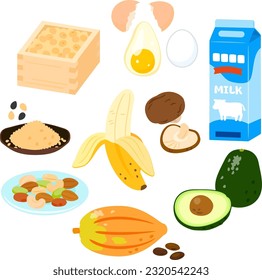 Illustration set of food containing tryptophan
