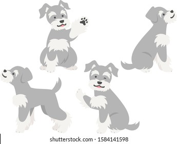 Illustration set of four miniature schnauzers posing with their hands raised or facing up