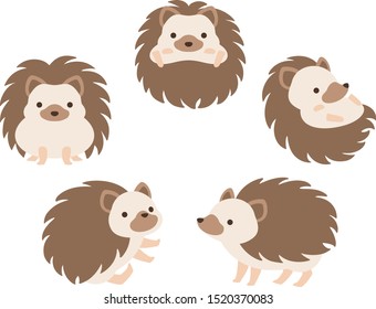 Illustration set of Four-toed hedgehogs