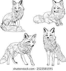 illustration with set of fox silhouettes isolated on white background