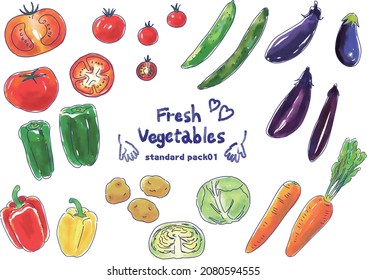 Illustration set of fresh and standard vegetables.