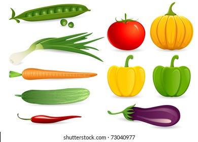 illustration of set of fresh vegetables on white background