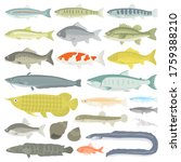 Illustration set of freshwater fish.