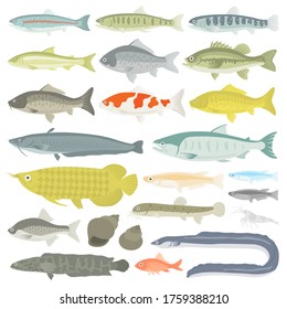 Illustration set of freshwater fish.