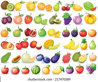 Illustration of a set of fruit