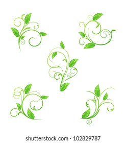 Illustration set green floral elements with eco leaves isolated - vector