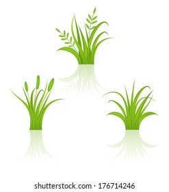 Illustration set green grass isolated on white background - vector