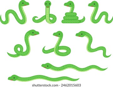 Illustration set of green long snakes in various poses