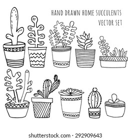  Illustration set of hand drawn cute cactus and succulent plants growing in cute pots.Home decoration.Vector illustration. 