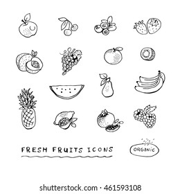 Illustration of a set of hand drawn fruit. Chalk Board