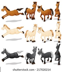 Illustration of a set of horses