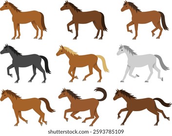 Illustration set of horses with various coat colors