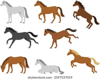 Illustration set of horses in various poses and coat colors