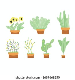 Conjunto de ilustraciones de las plantas de las casas