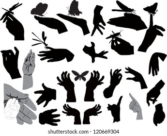 illustration with set of human hands and insects isolated on white background