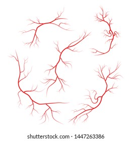 Illustration Set Of Human Veins, Vector Icons