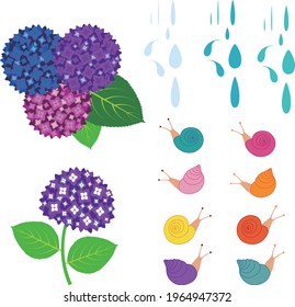 Illustration set of hydrangea flowers, snails and raindrops