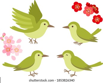 Illustration set of the Japanese Bush Warblers (Uguisu in Japanese)