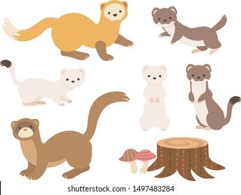 Illustration set of Japanese slender small animals (Weasel, Marten, Ermine, Least Weasel)