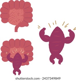 Conjunto de ilustración de intestino grueso, intestino delgado y batata humanoide