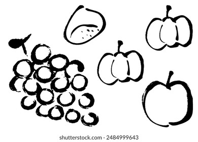 Illustration set of line drawing of autumn fruit with brush touch