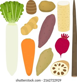 Illustration set of major root vegetables in Japan