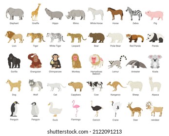 Illustration set of many kinds of animals.