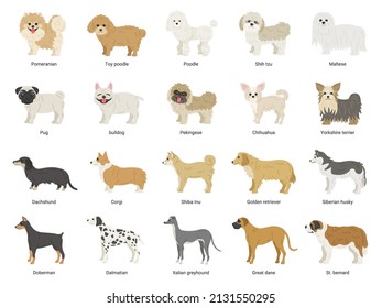 Illustration set of many kinds of dogs.