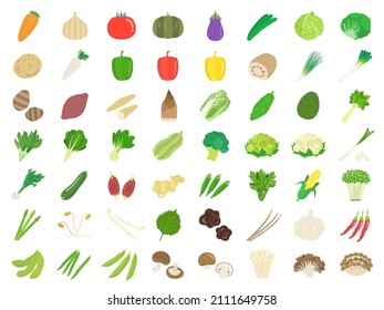 Illustration set of many kinds of vegetables.