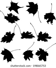 illustration with set of maple leaves silhouettes isolated on white background