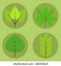 Illustration set of maple, oak, birch and beech tree leaves with spring colors.Spring leaves composed on green background