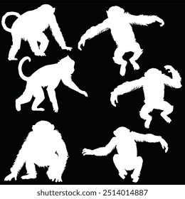 illustration with set of monkeys isolated on black background