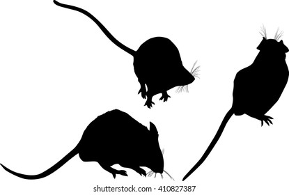 illustration with set of mouses isolated on white background