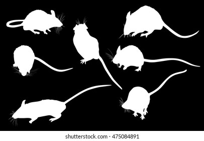 illustration with set of mouses isolated on black background