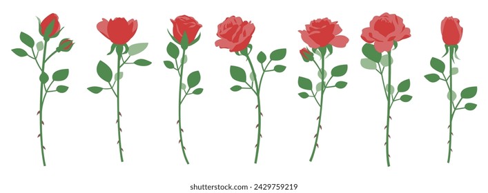 Illustration set of one rose, variation set, icon, vector