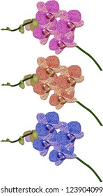 illustration with set of orchids isolated on white background