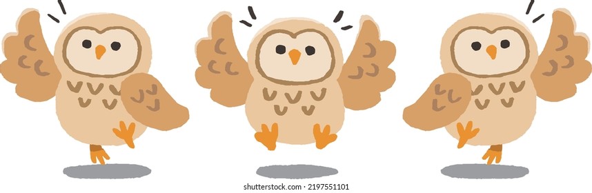 Illustration set of owls in various poses