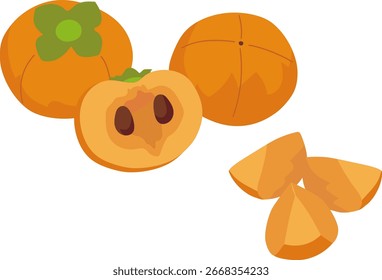Conjunto de ilustrações de frutos de caquis 5